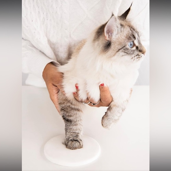 Pearhead Pet Pawprint Round Hanging Clay Ornament Kit Christmas Holiday Keepsake - Picture 6 of 10